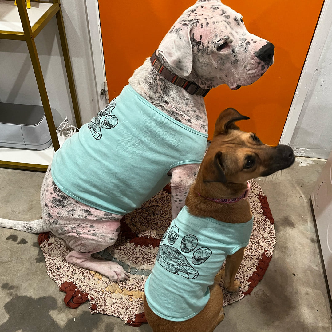 A large white dog with black spots wears the Paws, Prickly Pear, and Pines Dog Tank Top in light blue. Sitting next to him is a smaller brown dog with a black nose  wearing the Paws, Prickly Pear, and Pines Dog Tank Top in light blue.
