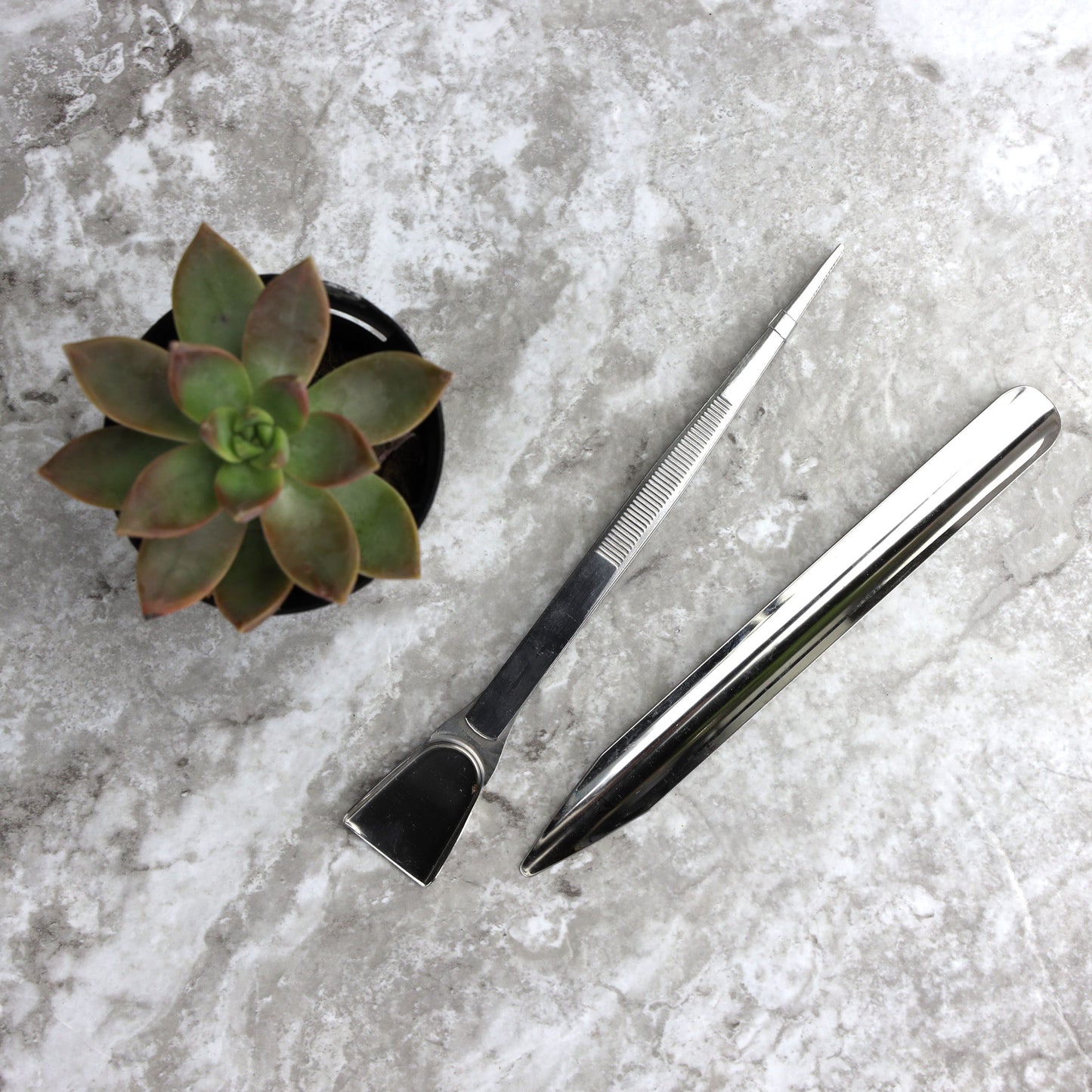 Cactus and Succulent Garden Tool Kit