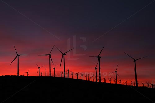 Palm Springs Photo Bundle