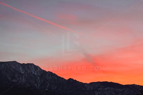 Palm Springs Photo Bundle