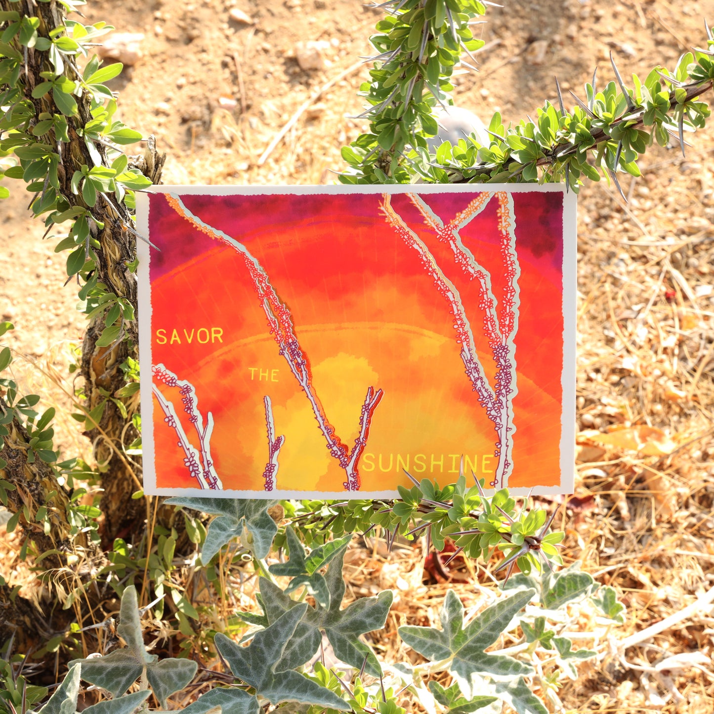 Savor the Sunshine Print on ocotillo branches