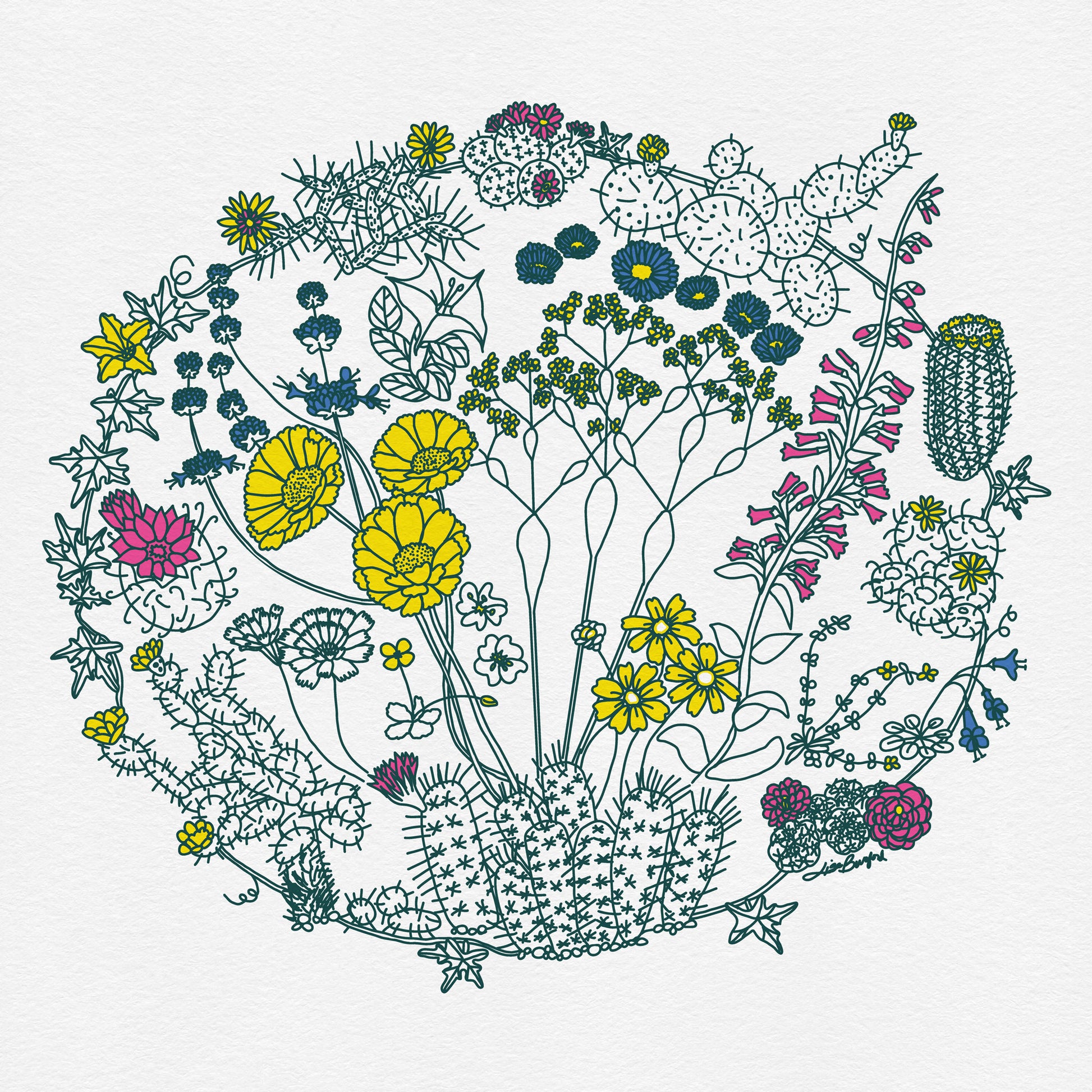 An illustration of flowers on plants that can be found in the Mojave Desert and/or Joshua Tree National Park. The outlines of the plants are a dark green color. Some of the flowers are colored a bright yellow, some a bright pink, and some a bright blue. The composition is in a circular shape.