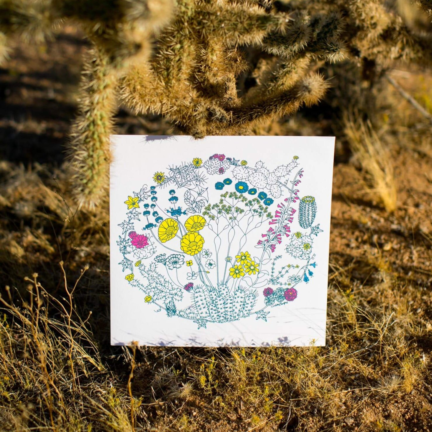 An illustration of flowers on plants that can be found in the Mojave Desert and/or Joshua Tree National Park. The outlines of the plants are a dark green color. Some of the flowers are colored a bright yellow, some a bright pink, and some a bright blue. The composition is in a circular shape, and the illustration rests against a cholla cactus.