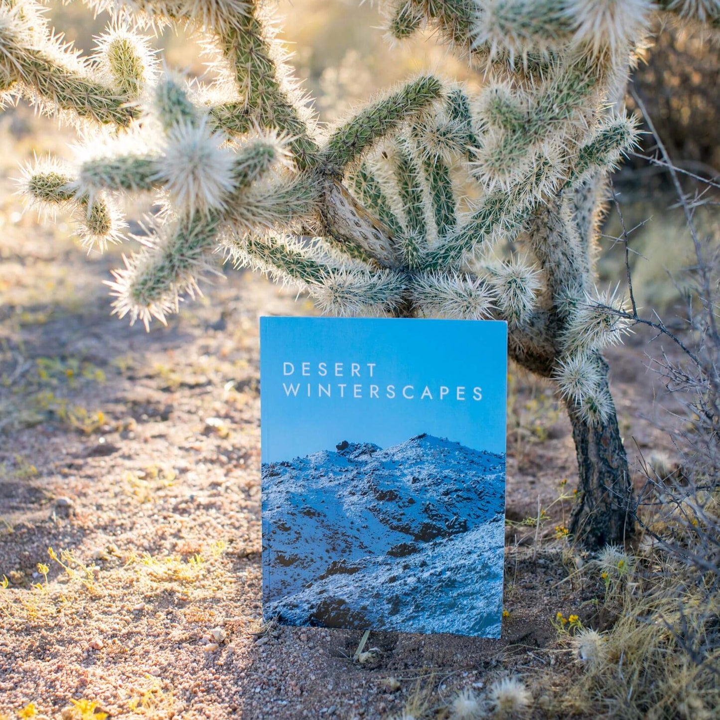 Desert Winterscapes Photo Magazine