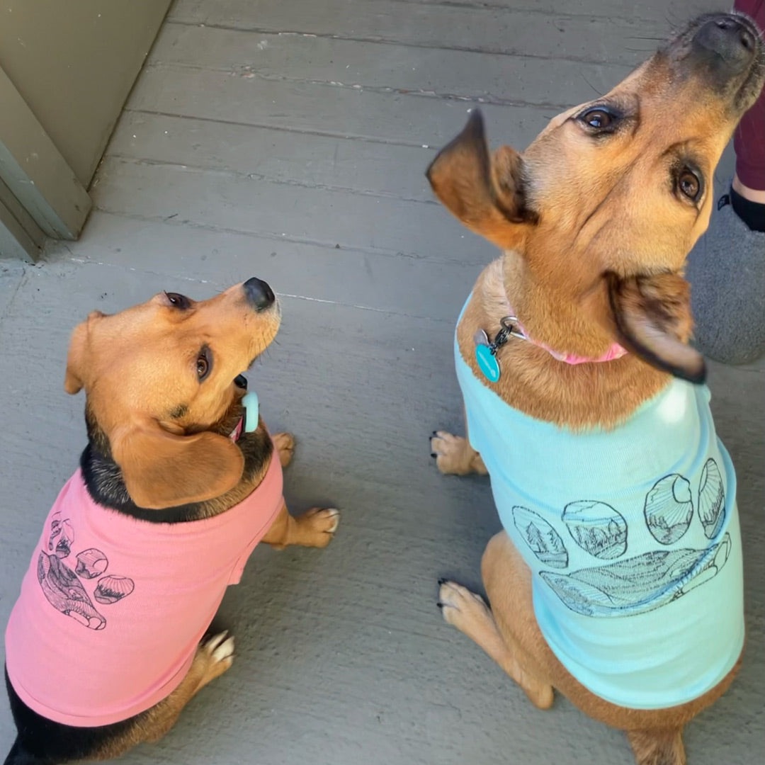 Two dogs, one small and one medium sized, sit next to one another. The one on the left is wearing the Paws, Prickly Pear, and Pines Dog Tank Top in mauve, and the one on the left is wearing the Paws, Prickly Pear, and Pines Dog Tank Top in light blue.