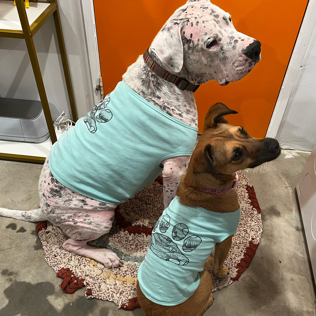 A large white dog with black spots wears the Paws, Prickly Pear, and Pines Dog Tank Top in light blue. Sitting next to him is a smaller brown dog with a black nose wearing the Paws, Prickly Pear, and Pines Dog Tank Top in light blue.
