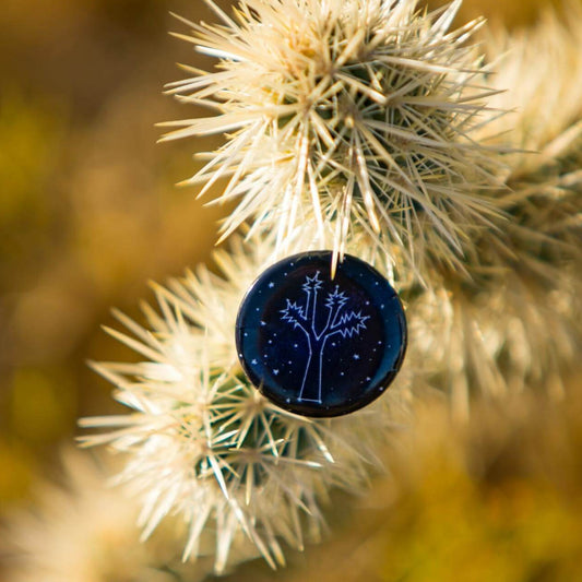 A button pin with an illustration depicting a Joshua tree shaped constellation rests on a cholla cactus branch