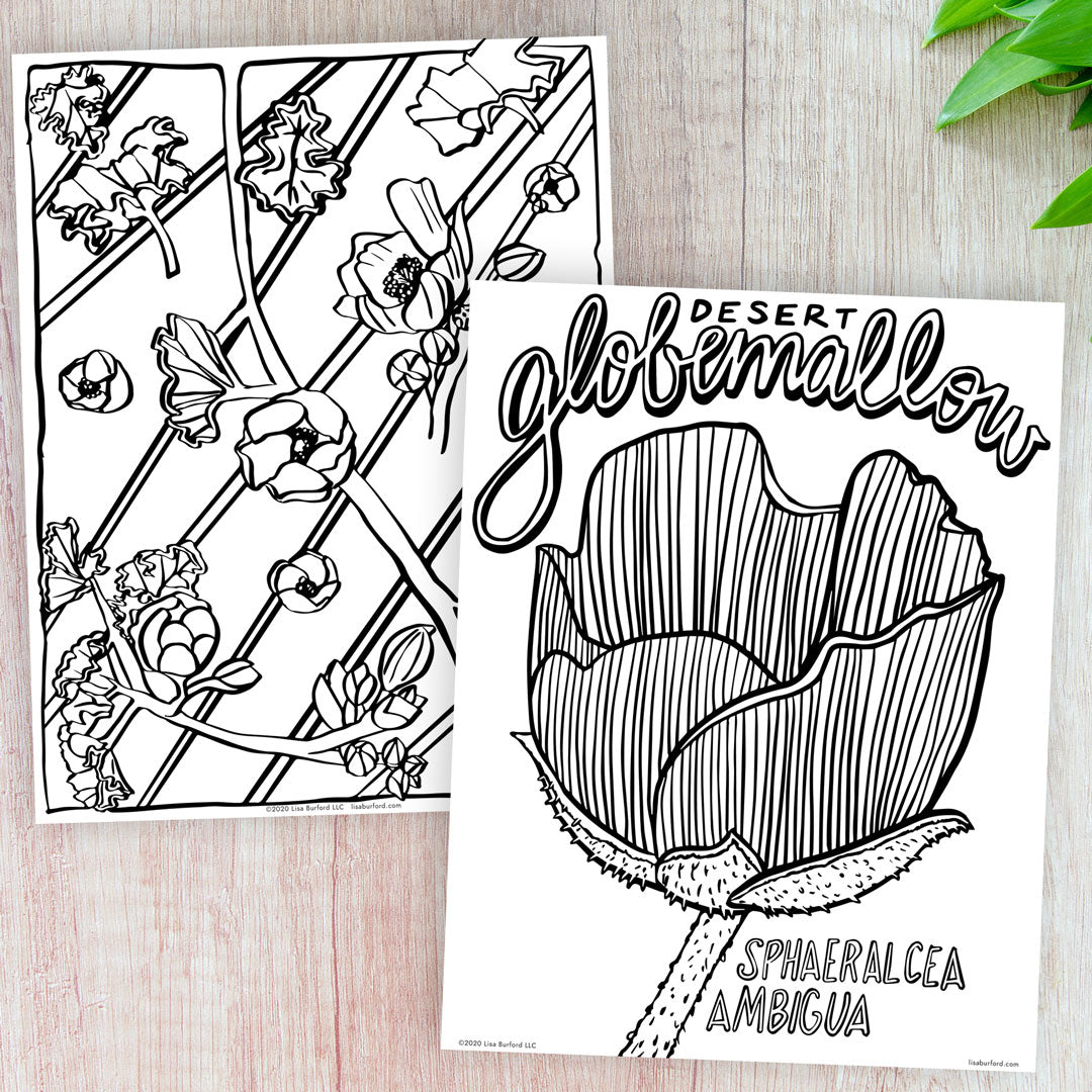 Desert Globemallow Coloring Pages