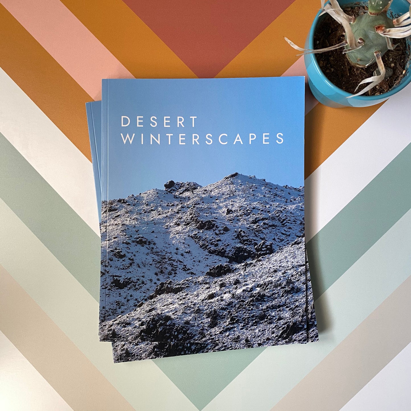 Desert Winterscapes Photo Magazine by Lisa Burford