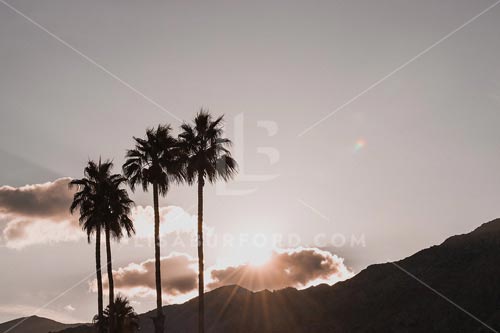 Palm Springs Photo Bundle