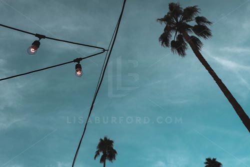 Palm Springs Photo Bundle