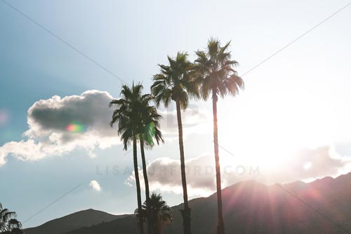 Palm Springs Photo Bundle